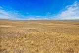 TBD County Road 64 - Photo 14