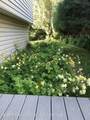 46 Alpine Court - Photo 7