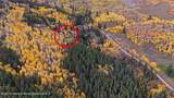 1315 Ruedi Creek Road - Photo 39