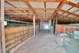 449 County Road 223 - Photo 28
