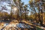 361 Pinon Drive - Photo 13