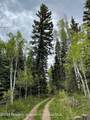 TBD Black Diamond Mine Road - Photo 10