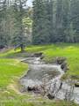 TBD Black Diamond Mine Road - Photo 5
