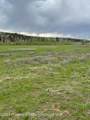 TBD Black Diamond Mine Road - Photo 6