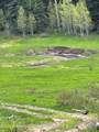 TBD Black Diamond Mine Road - Photo 8