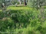1797 County Road 346 - Photo 23