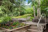 209 Larkspur Lane - Photo 38