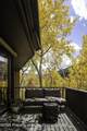 258 Roaring Fork Drive - Photo 7