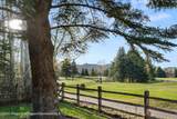 1430 Sierra Vista Drive - Photo 54