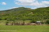 260 Star Mesa Road - Photo 26
