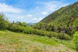 354 Snowmass Creek Road - Photo 5