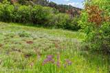 354 Snowmass Creek Road - Photo 7