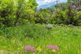 354 Snowmass Creek Road - Photo 8