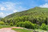354 Snowmass Creek Road - Photo 9