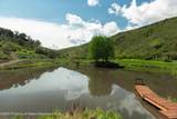 3691 Sopris Creek Road - Photo 10
