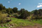 3691 Sopris Creek Road - Photo 13