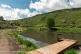 3691 Sopris Creek Road - Photo 7