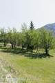 11283 Highway 133 - Photo 18