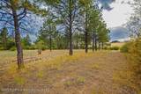 107 County Road 22 - Photo 46