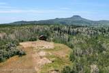 943 Routt Forest Drive - Photo 77