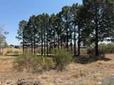 21045 Nowhere Road - Photo 16