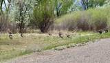 1797 County Road 346 - Photo 7