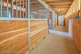 289 Lewis Lane - Photo 101
