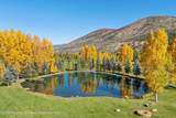 3333 Snowmass Creek Road - Photo 4