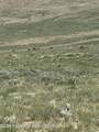 TBD County Road 64 - Photo 3