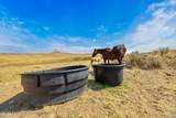 TBD County Road 64 - Photo 4