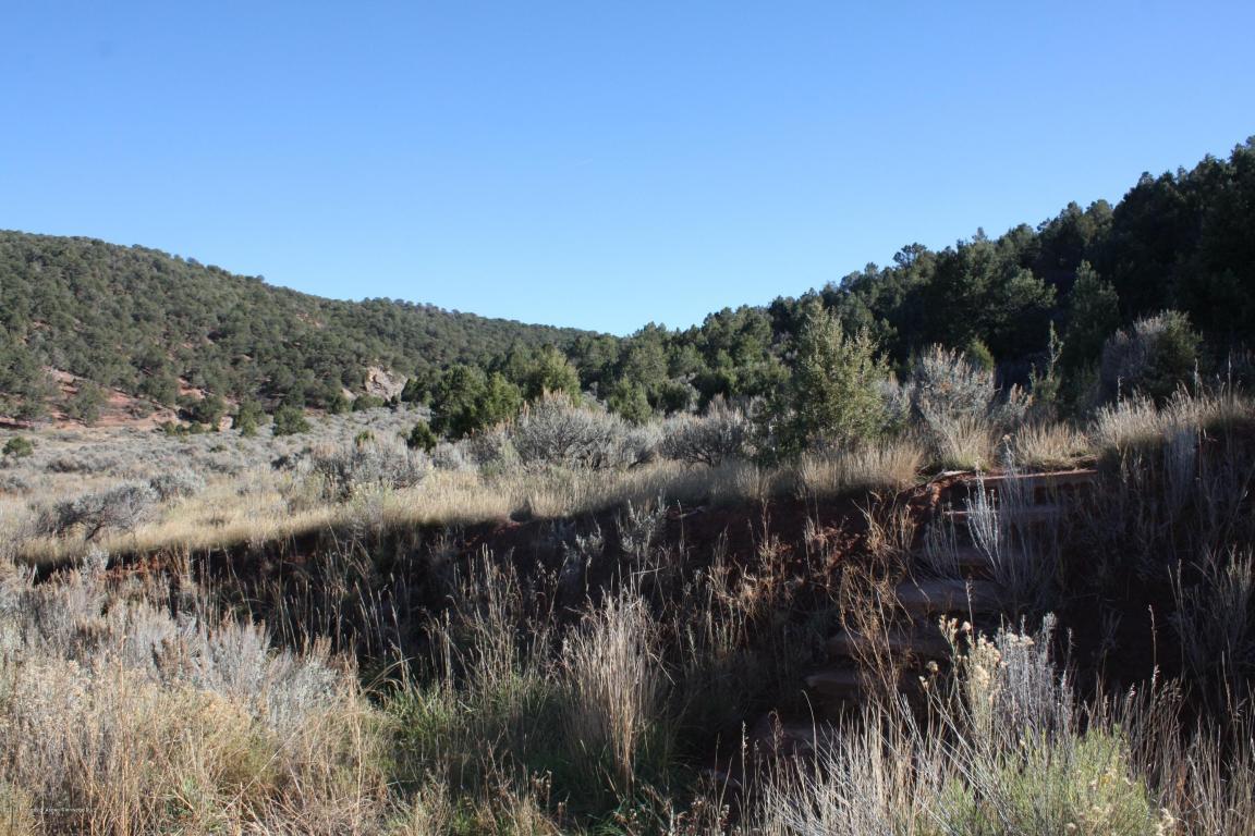 Lot 63 Hidden Valley Drive - Photo 1