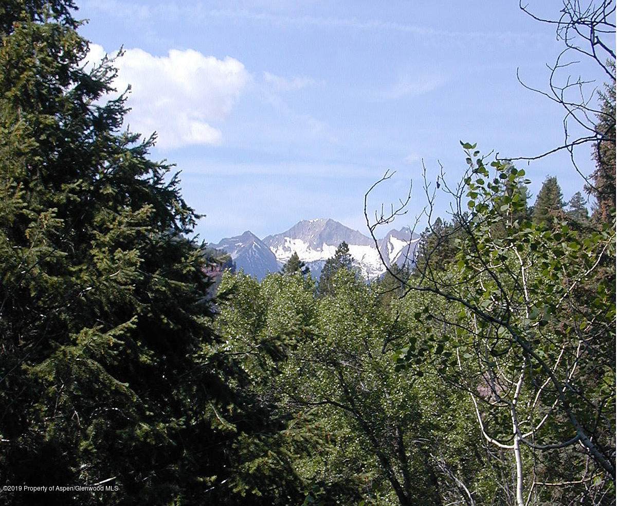 TBD Elk Mountain Drive - Photo 1