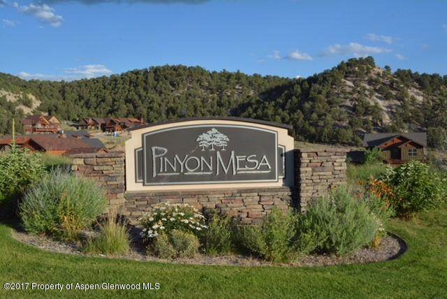 340 Pinyon Mesa Drive - Photo 1