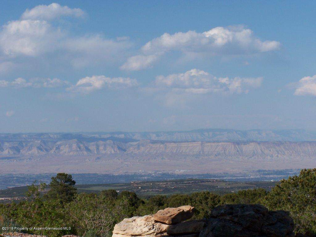 6003 Elk Ranch Road - Photo 1