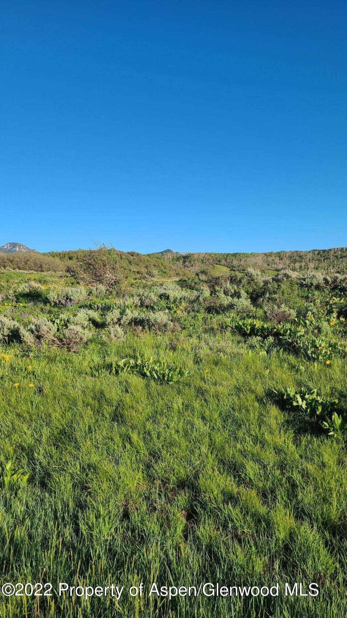 94 Boulder Bypass - Photo 1