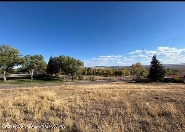 702 Ashley Road - Photo 1