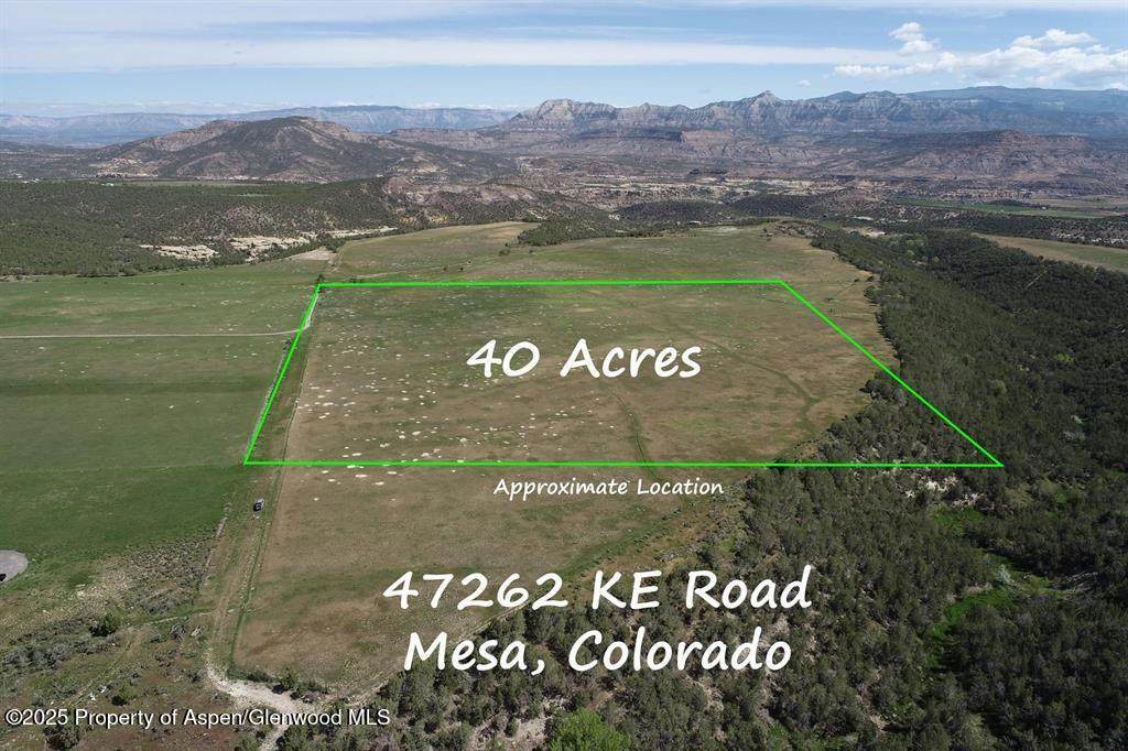 47262 Ke Road - Photo 1