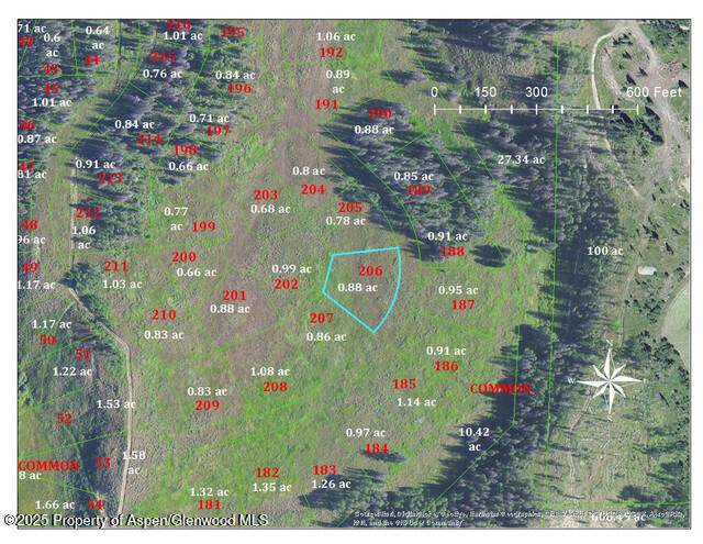 TBD Wiffle Tree Trail - Photo 1