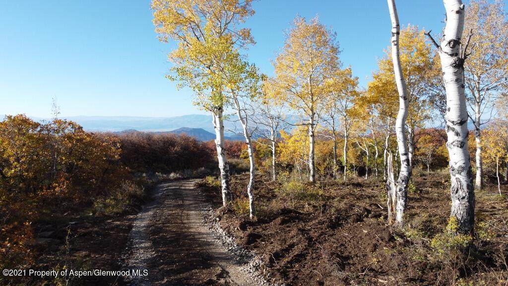 TBD Elk Ridge Road - Photo 1