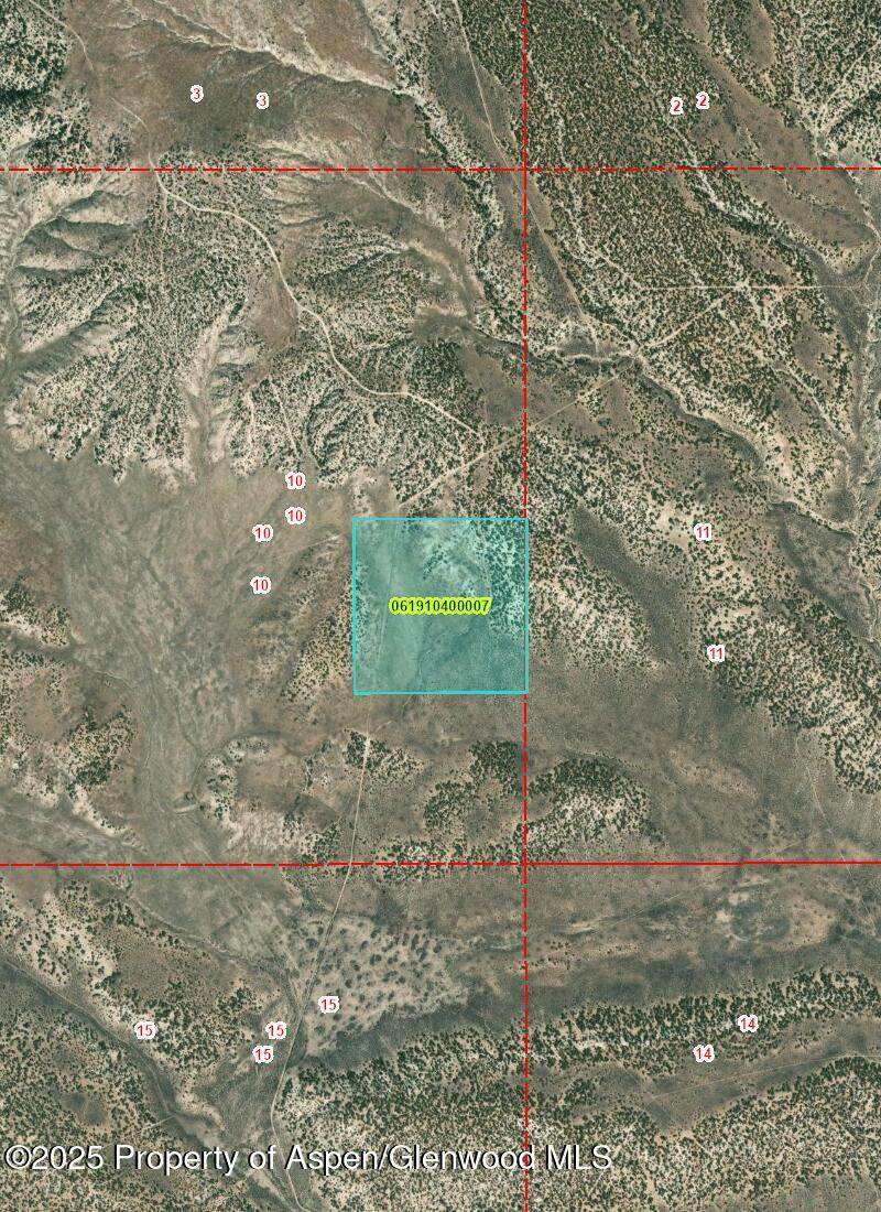 TBD County Road 48 - Photo 1