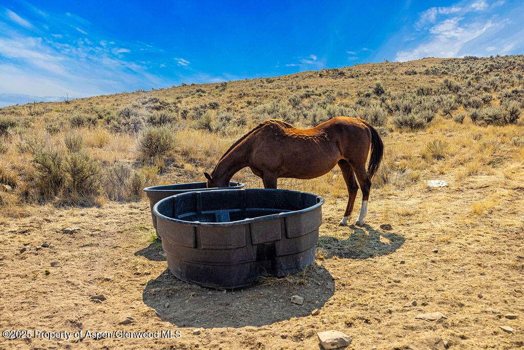 TBD County Road 64 - Photo 1