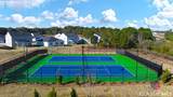 253 Daurian Drive - Photo 36