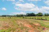 2520 Ho Hum Hollow Road - Photo 53