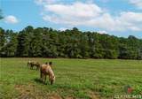 2520 Ho Hum Hollow Road - Photo 55
