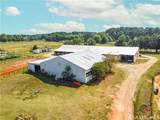 2520 Ho Hum Hollow Road - Photo 58