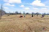 1871 Wildcat Bridge Road - Photo 35