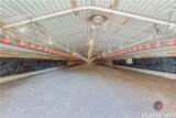 426 Black Snake Road - Photo 67