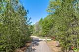 91 Lenten Rose Lane - Photo 9