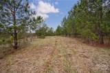 Tract 2 High Shoals Road - Photo 15