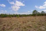 Tract 3 High Shoals Road - Photo 12